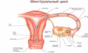 Маммография — когда надо делать