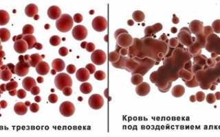 Виды анализов крови на наличие алкоголя (CDT) и расшифровка показателей